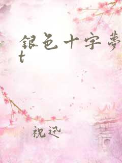 银色十字梦txt