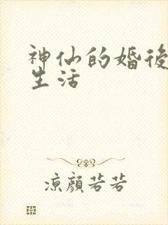 神仙的婚后都市生活
