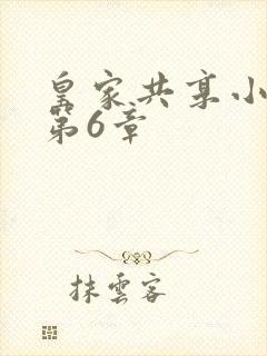 皇家共享小公主第6章