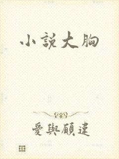 小说大胸