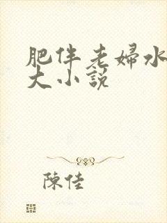 肥伴老妇水多乳大小说