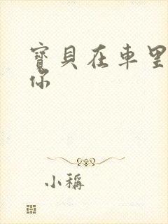 宝贝在车里想要你