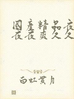 国产精品夜夜春夜夜爽久久小说