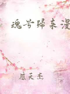 魂兮归来漫蒹葭