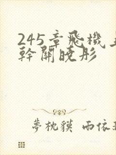 245章飞机上干关晓彤