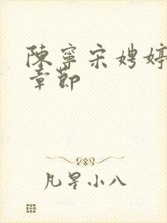 陈宁宋娉婷最新章节