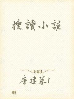 搜读小说