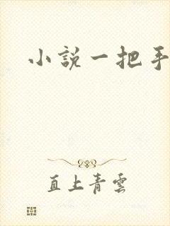 小说一把手