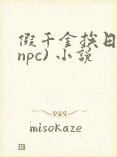 假千金挨日记(npc) 小说