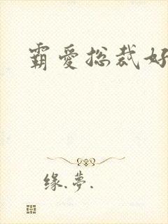 霸爱总裁好生猛