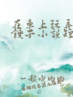 在车上玩弄美艳馊子小说短篇