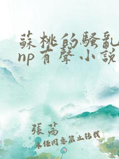苏桃的骚乱文肉np有声小说