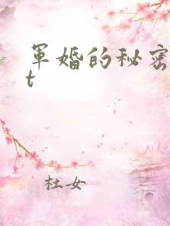 军婚的秘密txt