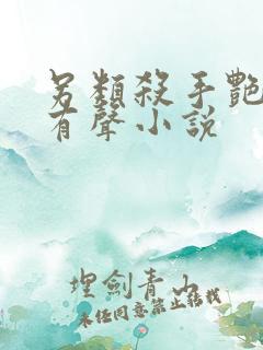 另类杀手艳福星有声小说