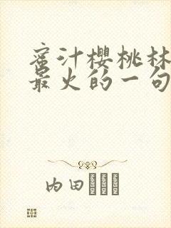 蜜汁樱桃林妙妙最火的一句