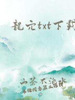 龙穴txt下载