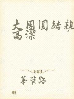 大团圆结亲情会高洁