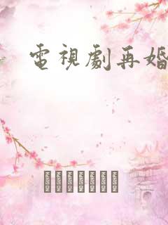 电视剧再婚家庭