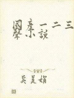 国产一二三区有声小说