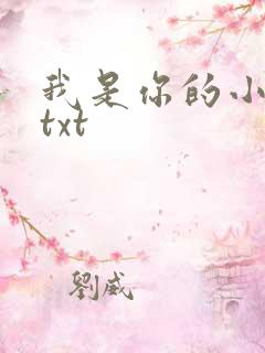 我是你的小小狗txt