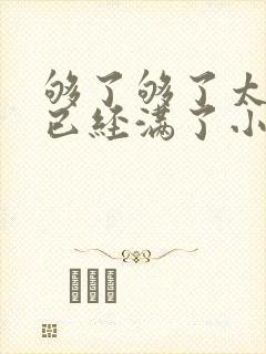 够了够了太多了已经满了小说