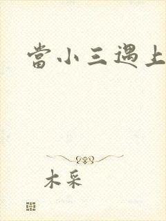 当小三遇上小四