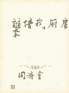 谁借我厨房第三季