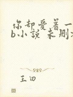 你却爱着一个sb小说 未删减完整版百度云