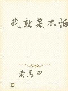 我就是不怕小说