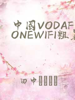 中国VODAFONEWIFI粗暴APP