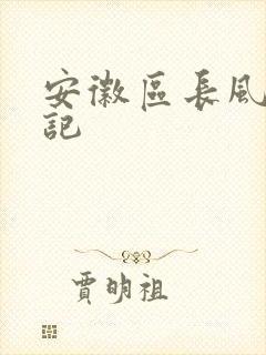 安徽区长风流日记