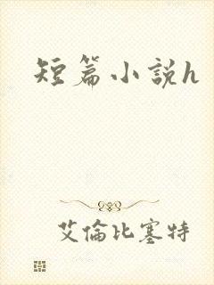 短篇小说h