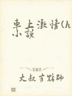 车上激情(h)小说