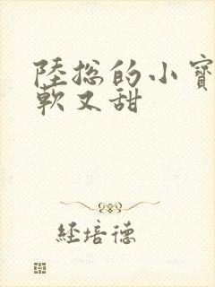 陆总的小宝贝又软又甜