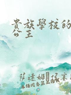 贵族学校的双面公主