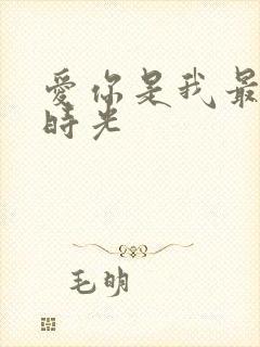 爱你是我最好的时光