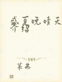 盛夏晚晴天剧情介绍