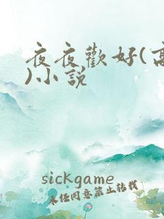 夜夜欢好(高h)小说