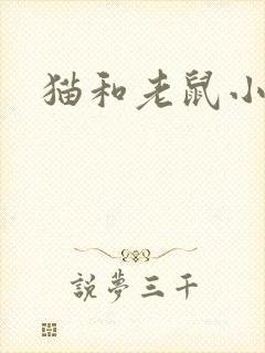 猫和老鼠小说