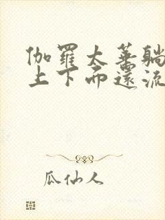 伽罗太华躺在床上下面还流东西