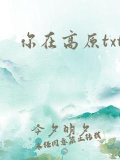 你在高原txt