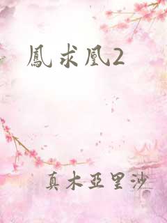 凤求凰2