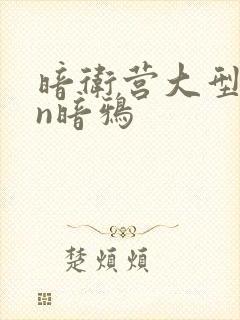 暗卫营大型hpn暗鸦