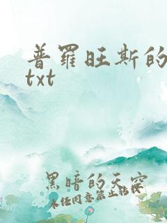 普罗旺斯的一年txt