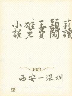 小雄王颖莉的小说免费阅读全文