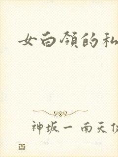 女白领的私生活