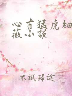 心有猛虎细嗅蔷薇小说