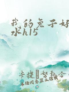 我的兔子好多软水h15