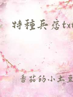 特种兵痞txt
