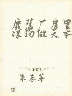 废旧厂房里和流浪狗做天本